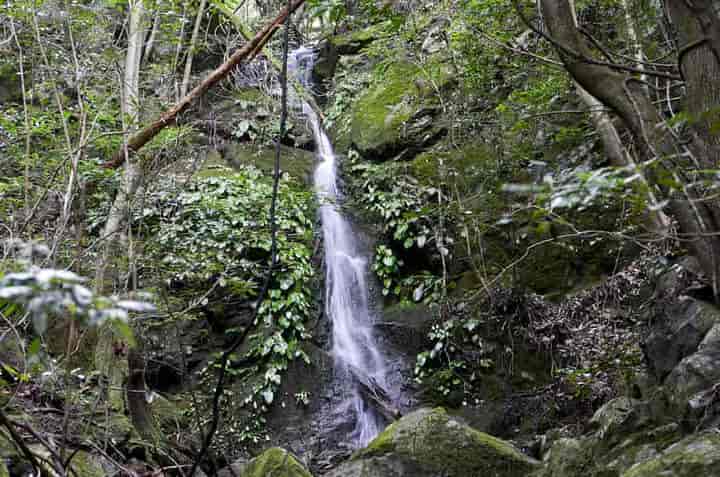 �B���(����̑�)